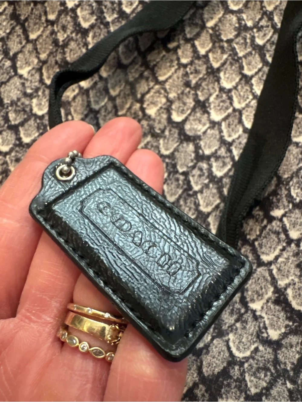 Coach Metallic Snake-Print Tote in Pewter and Black